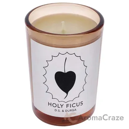Picture of Holy Ficus by DS & Durga for Unisex - 7 oz Candle