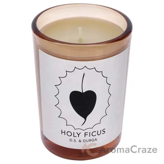 Picture of Holy Ficus by DS & Durga for Unisex - 7 oz Candle