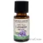 Picture of Essential Oil Organic - Lavender by Natures Answer for Unisex - 0.5 oz Dietary Supplement