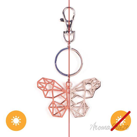 Picture of Color-Changing Key Chain Metal Butterfly - Red by DelSol for Women - 1 Pc