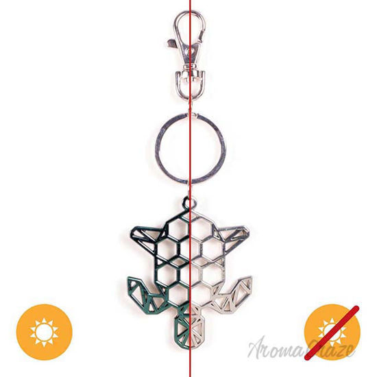 Picture of Color-Changing Key Chain Metal Turtle - Green by DelSol for Women - 1 Pc