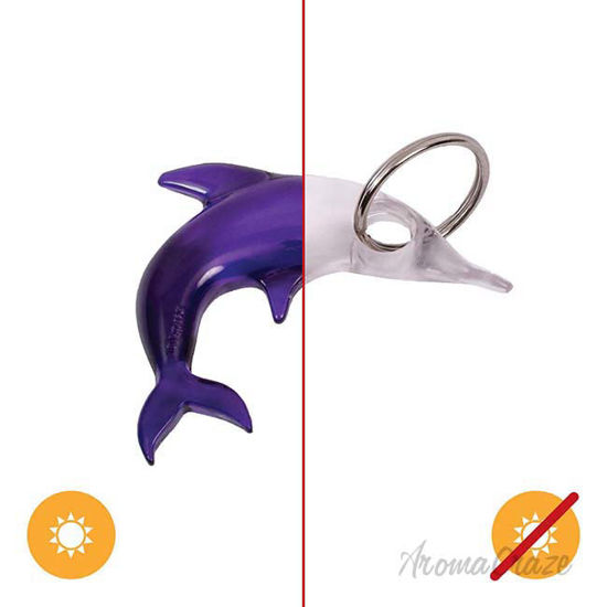 Picture of Color-Changing Key Chain Dolphin - Purple by DelSol for Women - 1 Pc