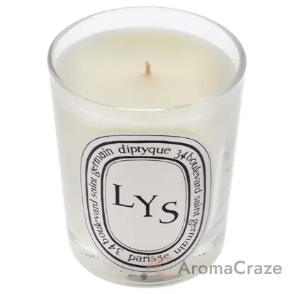Picture of LYS Scented Candle by Diptyque for Unisex - 6.5 oz Candle