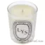 Picture of LYS Scented Candle by Diptyque for Unisex - 6.5 oz Candle
