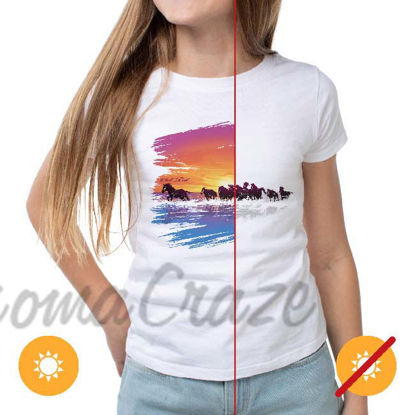Picture of Women Crew Tee - Wild Horse - White by DelSol for Women - 1 Pc T-Shirt (S-C-P)