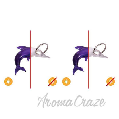 Picture of Color-Changing Key Chain Dolphin - Purple by DelSol for Women - 1 Pc  