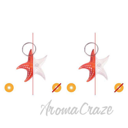 Picture of Color-Changing Key Chain Starfish - Orange by DelSol for Women - 1 Pc  