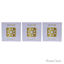 Picture of The Power Of The Flower Brochure - Small by Helis Gold for Unisex - 1 Pc Brochure  