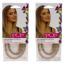 Picture of Pop Two Braid Extension - R14 88H Golden Wheat by Hairdo for Women - 15