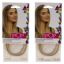 Picture of Pop Two Braid Extension - R22 Swedish Blond by Hairdo for Women - 15