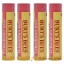 Picture of Pink Grapefruit Moisturizing Lip Balm Twin Pack by Burts Bees for Unisex - 2 x 0.15 oz Lip Balm - Pack of 2