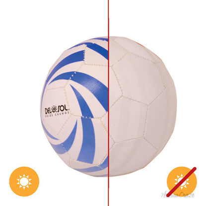 Picture of Mini Soccer Ball by DelSol for Unisex 1 Pc Ball