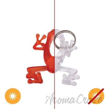 Picture of Color Changing Key Chain Frog Orange by DelSol by Unisex 1 Pc Keychain