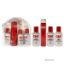 Protect And Hold On The Go Styling Kit by CHI for Unisex 